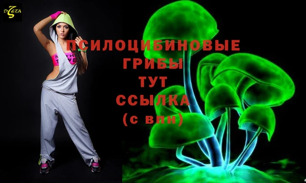 apvp Алексеевка