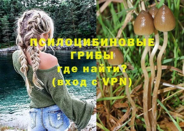 MDMA Premium VHQ Алзамай
