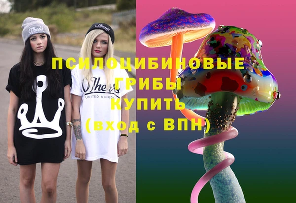 винт Алексин