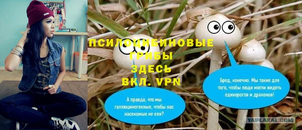 apvp Алексеевка