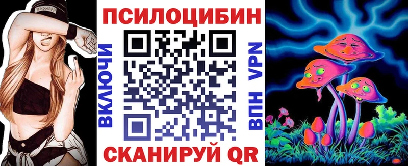 mega зеркало  Балашов  Псилоцибиновые грибы GOLDEN TEACHER 