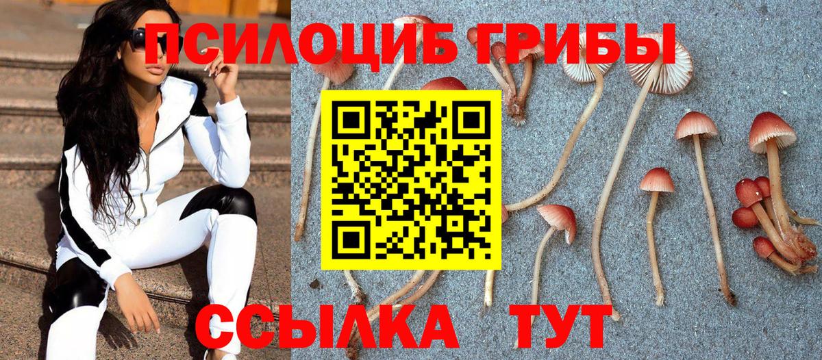Балашов  Галлюциногенные грибы Cubensis  Галлюциногенные грибы Psilocybe  Вход с VPN 