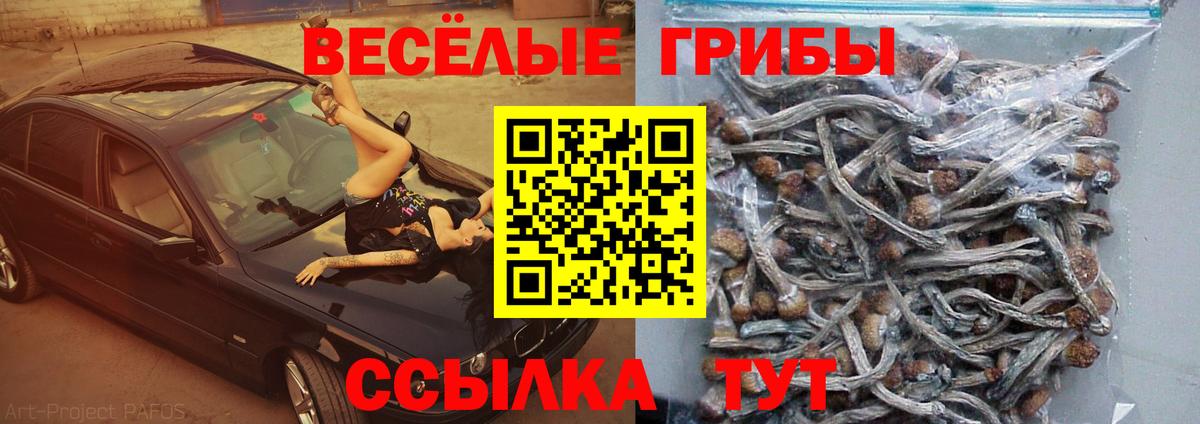 Галлюциногенные грибы ЛСД Балашов